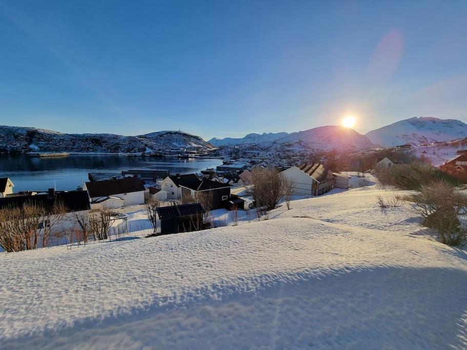 Nice House With A Great View! Skjervoy Eksteriør bilde